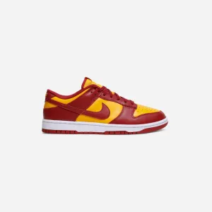 Durable Design All Day Use Nike Dunk Low Midas Gold