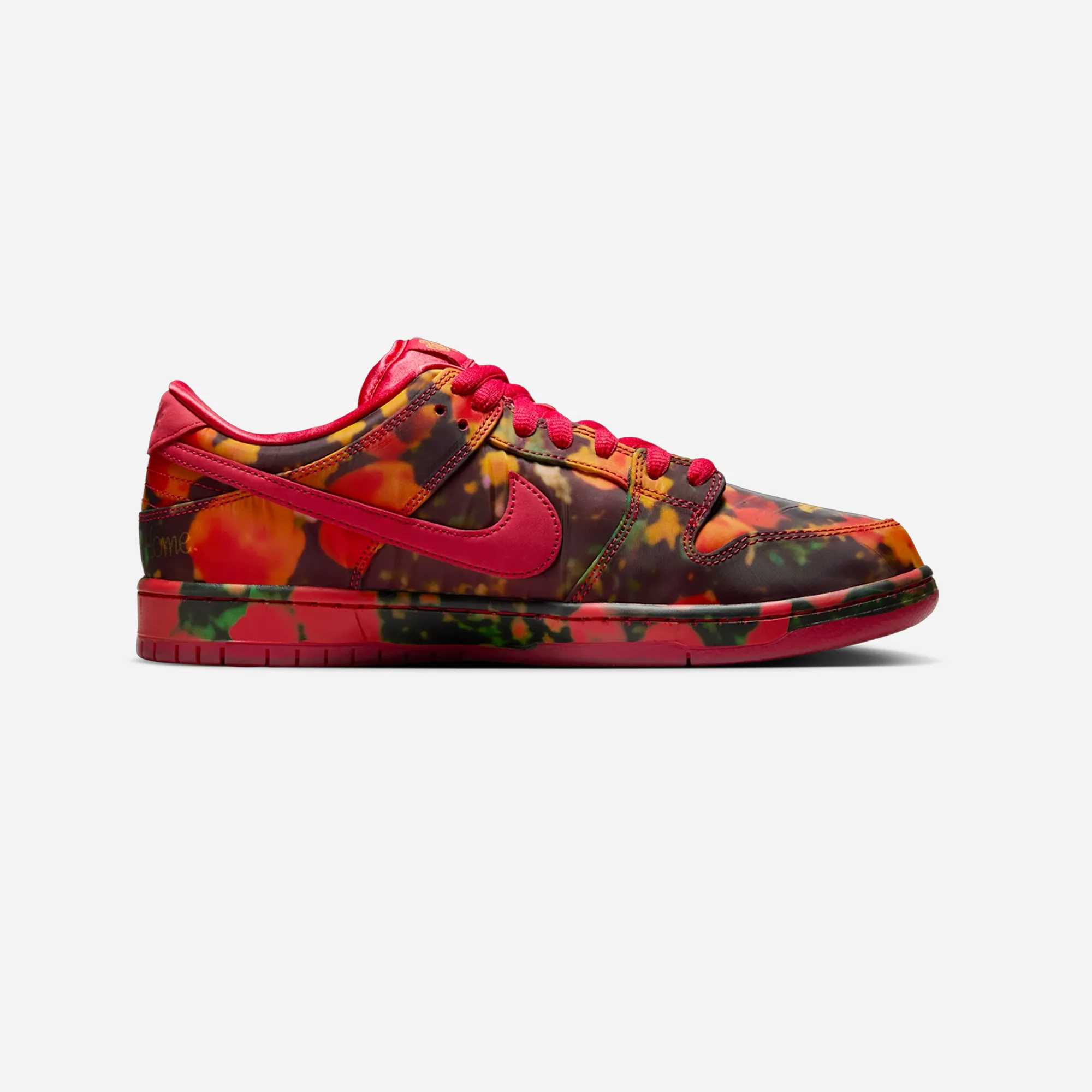 Nike SB Dunk Low Pro "The Wizard of Oz" Abrasion Resistant Material