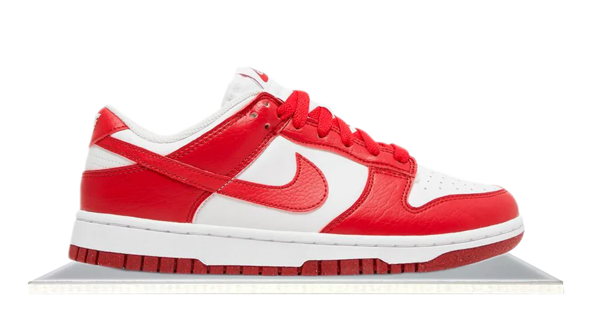 Travel Light Dunk Low Next Nature Gym Red