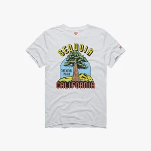 Cozy Vibe Sequoia National Park