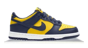 Dunk Low Michigan City Snap Quick   Dry