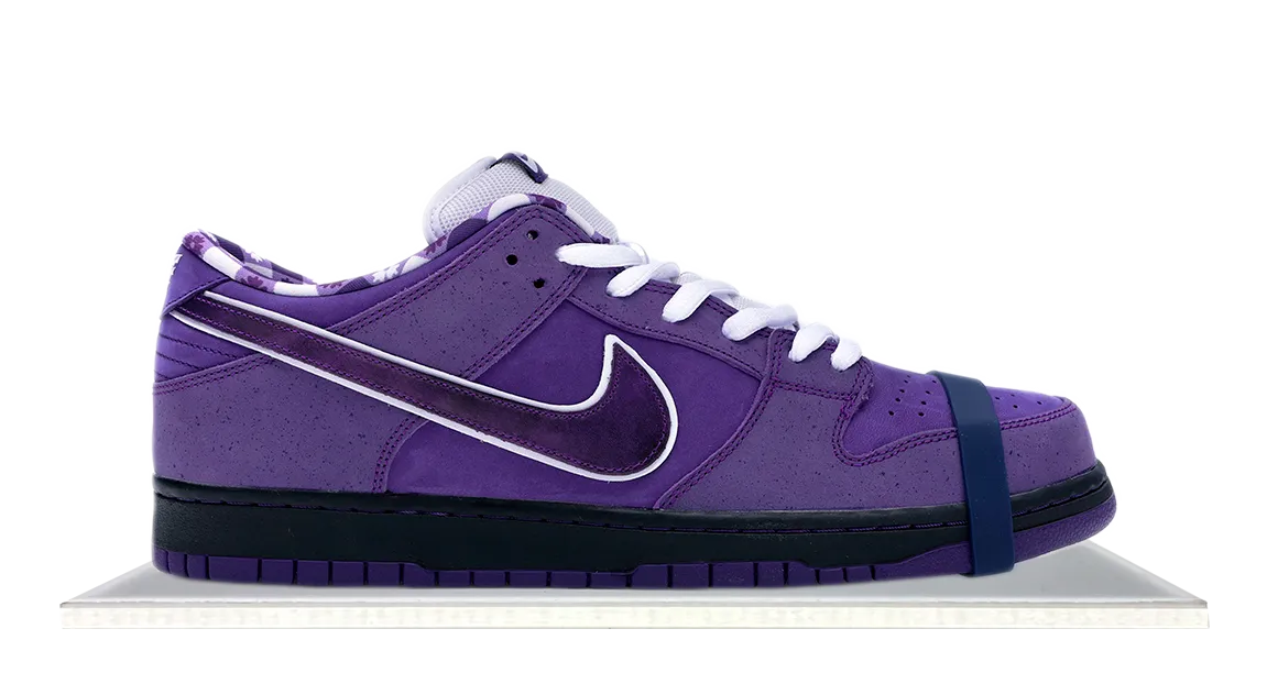 Drawstring Lace Long Stroll SB Dunk Low Purple Lobster